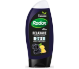 Radox Men Relaxace Ostružina a zázvor 3v1 sprchový gel a šampon pro muže 250 ml