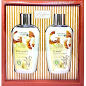 Bohemia Gifts Med a Kozí mléko sprchový gel 250 ml + šampon na vlasy 250 ml, kosmetická sada
