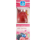 Pan Aroma Wild Berries osvěžovač vzduchu difuzér 50 ml