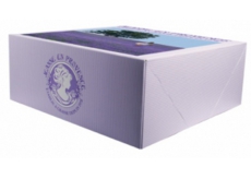 Jeanne en Provence Dárkový papírový box 20 x 20 x 8 cm