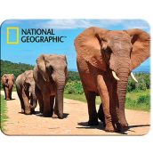 Prime3D magnet - Afričtí sloni 9 x 7 cm
