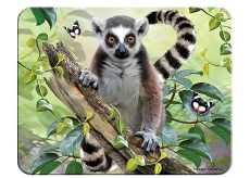 Prime3D magnet - Lemur 9 x 7 cm