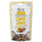 Brit Care Cat Snack Shiny Hair Losos pamlsek poloměkké doplňkové krmivo pro kočky 50 g