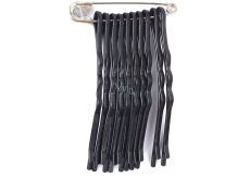 Plastic Nova Spona vlasová černá lakovaná 6 cm 10 kusů na špendlíku