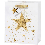 BSB Luxusní dárková papírová taška 23 x 19 x 9 cm Vánoční bílá s 3D hvězdičkou VDT 426-A5