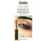 Delia Cosmetics Instant Eyebrown Tint barva na obočí 1.0 černá 6 ml