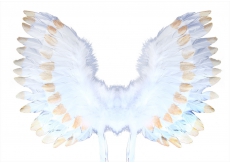 Křídla andělská s peřím bílo-zlatá 67 x 46 cm