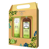 Biotter GlySkinCare Makadamový olej šampon pro suché a poškozené vlasy 250 ml + sprchový gel 250 ml, kosmetická sada