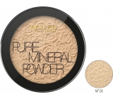 Revers Mineral Pure Compact Powder kompaktní pudr 01, 9 g