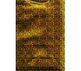 Nekupto Dárková papírová taška hologram 32 x 26 x 13 cm Zlatá, hvězdy 110 01 THL