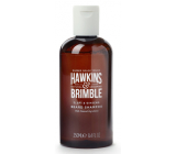 Hawkins & Brimble Men šampon pro muže na vousy s obsahem provitamínu B5 a jemnou vůní ženšenu a elemi 50 ml
