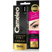 Delia Cosmetics Cameleo Krémová profesionální barva na obočí, bez amoniaku 1.0 Black - Černá 15 ml