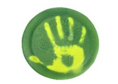EP Line Chameleon frisbee 24 cm, doporučený věk 5+