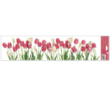 Okenní fólie bez lepidla pruhy Tulipány 64 x 15 cm