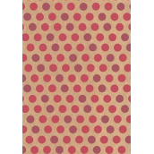 Ditipo Dárkový balicí papír 70 x 200 cm KRAFT Růžová kolečka