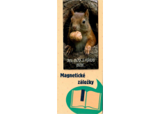 Albi Magnetická záložka do knížky Veverka s oříškem 8,7 x 4,4 cm
