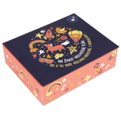 Albi Hrací krabička na peníze Optimista 11 x 9 x 3,5 cm