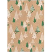 Ditipo Dárkový balicí papír 70 x 200 cm Vánoční KRAFT Zelené, béžové stromky