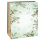 Ditipo Dárková papírová taška 32,4 x 10,2 x 45,5 cm Vánoční světle zelená - větvičky, vločky