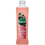 Radox Feel Detoxed Blended with Mineral Clay, Herbs & Acai Berry Scent pěna do koupele 500 ml