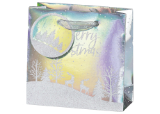 BSB Luxusní dárková papírová taška 14,5 x 15 x 6 cm Vánoční hologramová se zasněženou krajinou VDT 453 CD