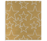 Zoewie Dárkový balicí papír 70 x 150 cm Vánoční Nordic Light zlatý - bílé hvězdy
