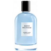 David Beckham Infinite Aqua parfémovaná voda pro muže 100 ml TESTER