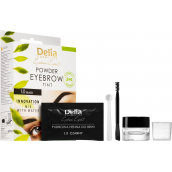 Delia Cosmetics Eyebrow Expert Henna pudrová barva na obočí 1.0 černá 4 g