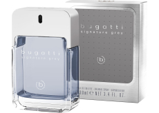 Bugatti Signature Grey toaletní voda pro muže 100 ml