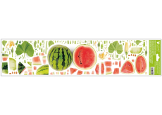 Okenní fólie bez lepidla pruhy ovoce meloun 64 x 15 cm 1 arch