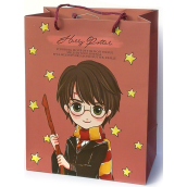 Epee Merch Harry Potter - Harry dárková papírová taška 18 x 22,5 x 10 cm