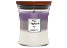 WoodWick Trilogy Amethyst Sky - Ametystové nebe vonná svíčka s dřevěným knotem a víčkem sklo střední 275 g