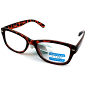 Berkeley Čtecí dioptrické brýle +1,5 plast oranžovo-hnědé černé fleky 1 kus R4007-15 INfocus