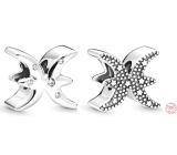Charm Sterlingové stříbro 925 znamení zvěrokruhu Třpytivé Ryby, korálek na náramek