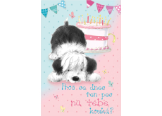 Ditipo Hrací přání K narozeninám Proč se dnes ten pes na tebe kouká? Lucie Vondráčková Cizí pes 224 x 157 mm