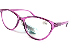 Berkeley Čtecí dioptrické brýle +2,5 plast fialové 1 kus MC2211