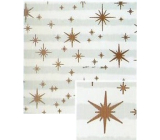 Nekupto Dárkový balicí papír vánoční 70 x 200 cm Bílé a světle modré proužky, měděné hvězdičky