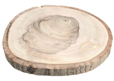 Plátek dřevěný oboustranně vyhlazený jabloň 18 - 20 cm