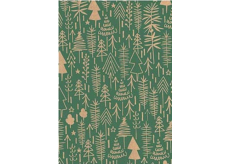 Ditipo Dárkový balicí papír vánoční 70 x 200 cm Kraft zelený, béžové stromky