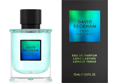 David Beckham True Instinct parfémovaná voda pro muže 75 ml