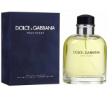 Dolce & Gabbana pour Homme toaletní voda 75 ml