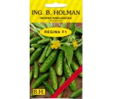 Holman F1 Regina okurky nakladačky 2,5 g