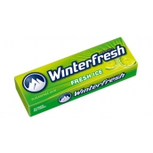 Wrigleys Winterfresh Fresh Ice žvýkačka dražé 10 kusů