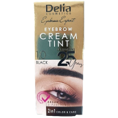 Delia Cosmetics Color Cream barvící krém na obočí s arganovým olejem 1.0 Black 15 ml + 15 ml