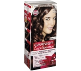 Garnier Color Sensation barva na vlasy 4.15 Ledově kaštanová