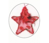 Hvězdička s peříčkem a flitry červená na zavěšení 11 cm