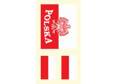 Arch Tetovací obtisky na obličej i tělo Polsko vlajka 2 motiv