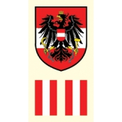 Arch Tetovací obtisky na obličej i tělo Rakousko vlajka 2 motiv