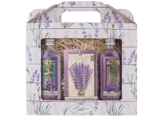 Bohemia Gifts Lavender sprchový gel 100 ml + olejová lázeň 100 ml + vonná karta, kosmetická sada pro ženy