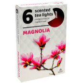 Tea Lights Magnolia vonné čajové svíčky 6 kusů